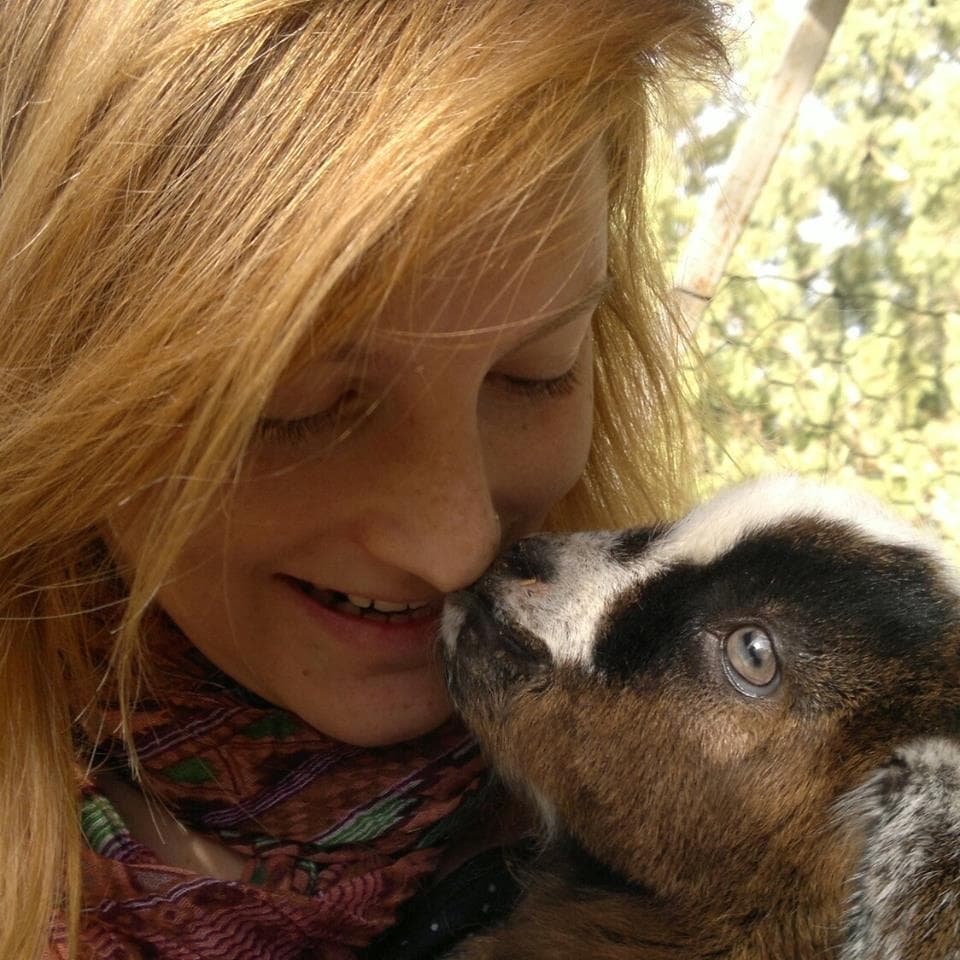 מלי רוזנבאום