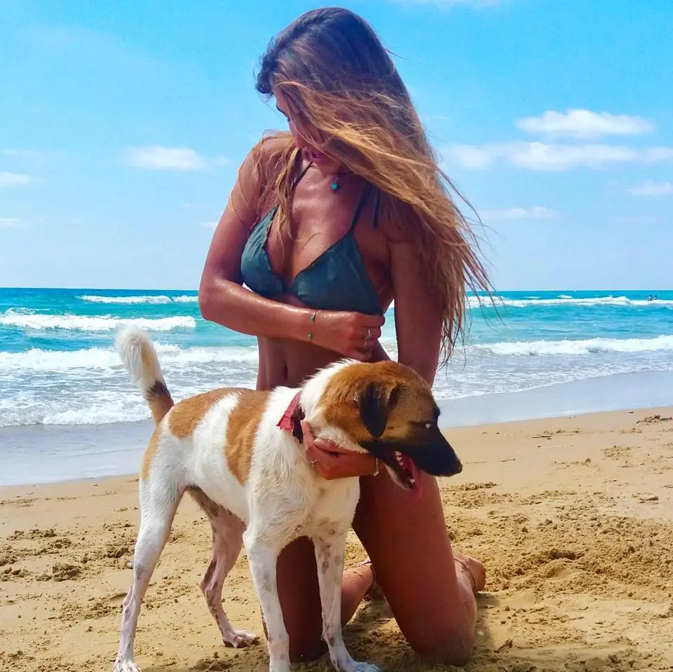 נועה פלוטקין